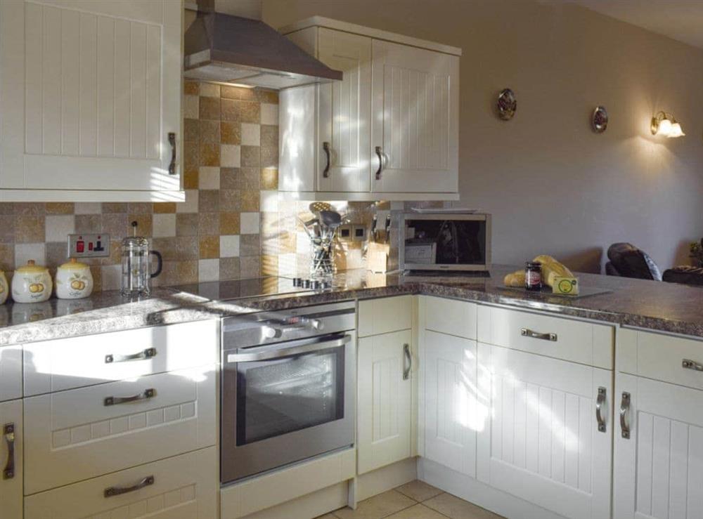 Well-equipped kitchen area at Tan Y Dderwen, 