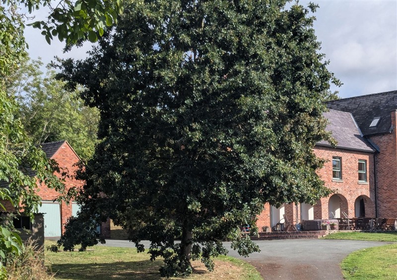 This is the garden at Gaer Hall, Guilsfield