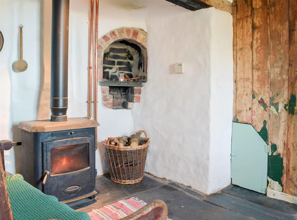 Warming and welcoming woodburner in the living room at Gamekeepers Cottage in Newchapel, near Cardigan, Dyfed