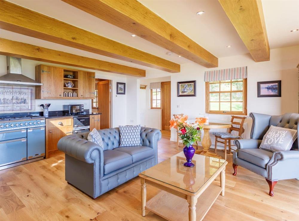 Open plan living space at Gamekeepers Lodge in Port of Menteith, Stirlingshire