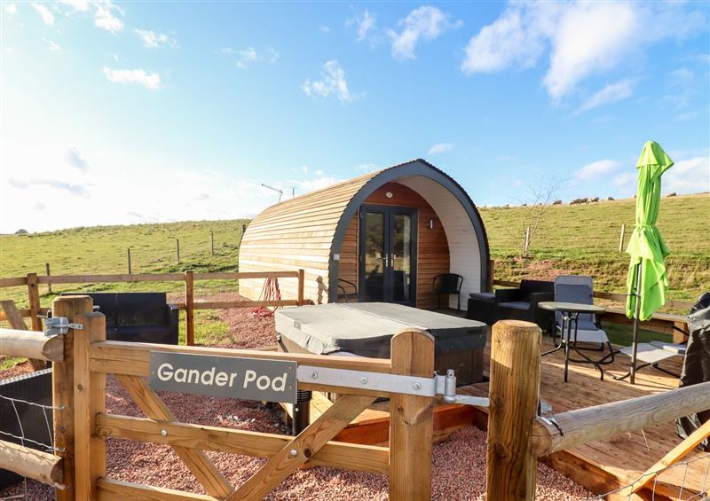 The setting (photo 2) at Gander Pod, Clifton Upon Teme