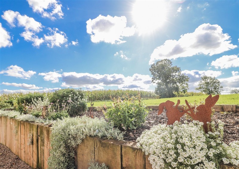 Enjoy the garden at Gapstile, Abbots Bromley