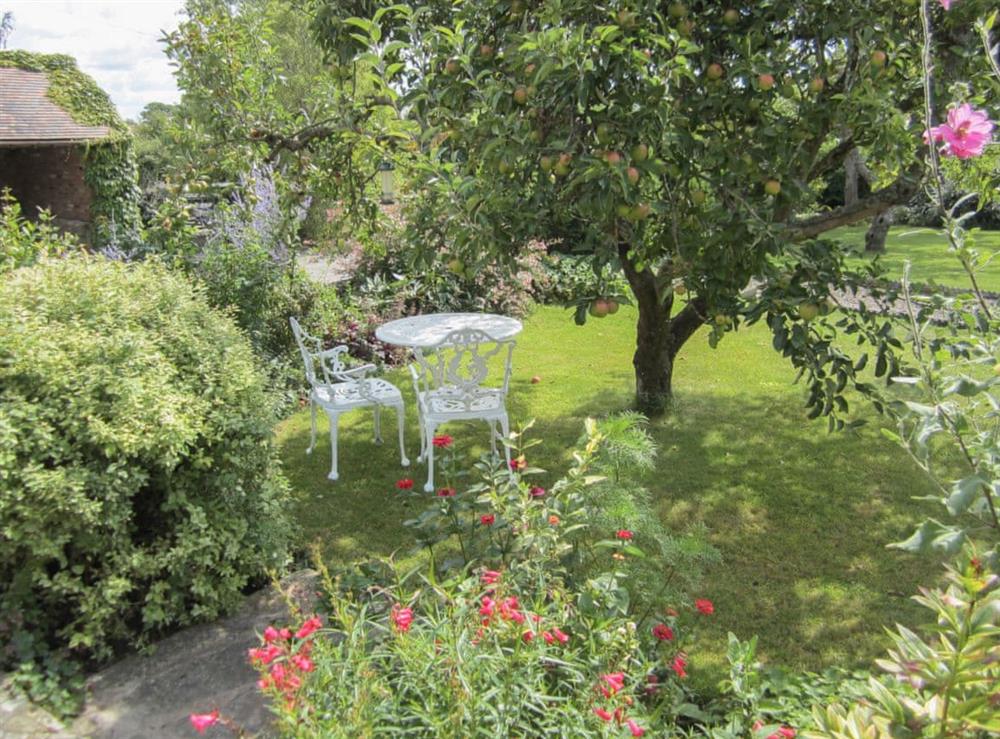 Garden at Garden Cottage in Corse Lawn, near Tewkesbury, Gloucestershire