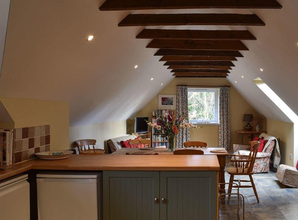 Open plan living space (photo 2) at Garden Cottage Fairlaw in Reston, Berwickshire., Great Britain