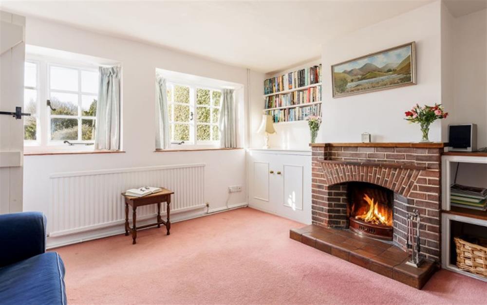 Enjoy the living room at Garden Cottage in Fordingbridge