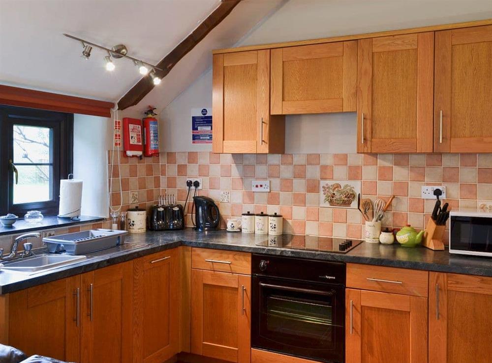 Open plan living/dining room/kitchen (photo 2) at Garden Cottage in Harbertonford, Totnes, Devon