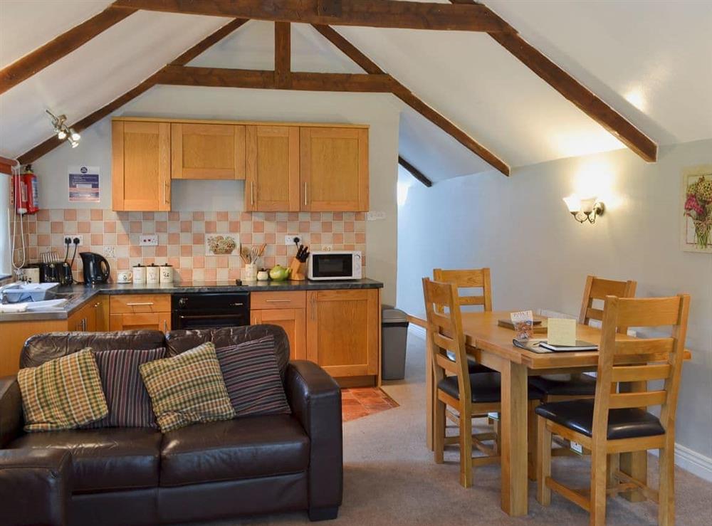 Open plan living/dining room/kitchen at Garden Cottage in Harbertonford, Totnes, Devon