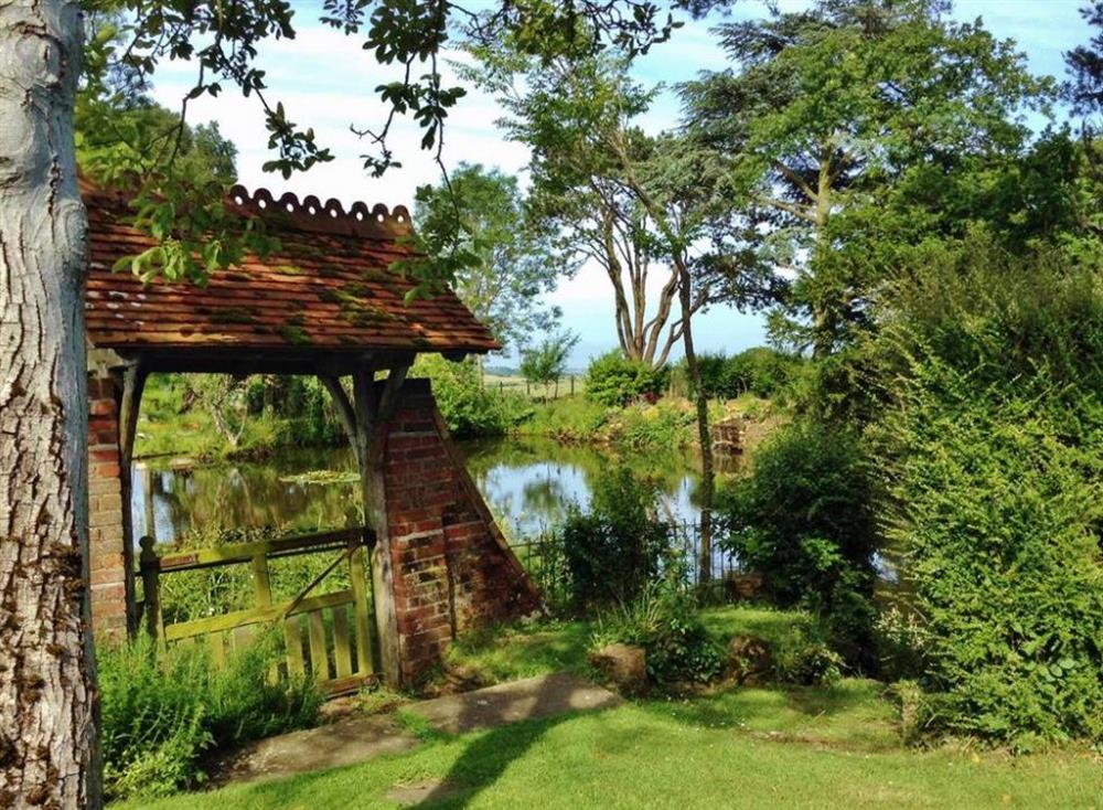 Garden and lake at Garden Cottage, Icklesham, Sussex