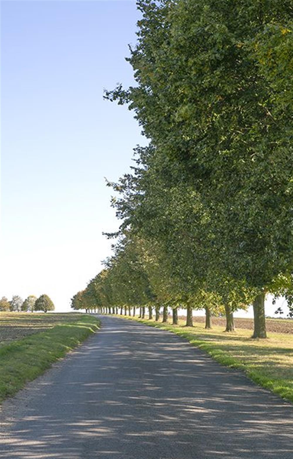 Norfolk quiet lanes at Garden Cottage, Manor House Farm, Wellingham near Kings Lynn