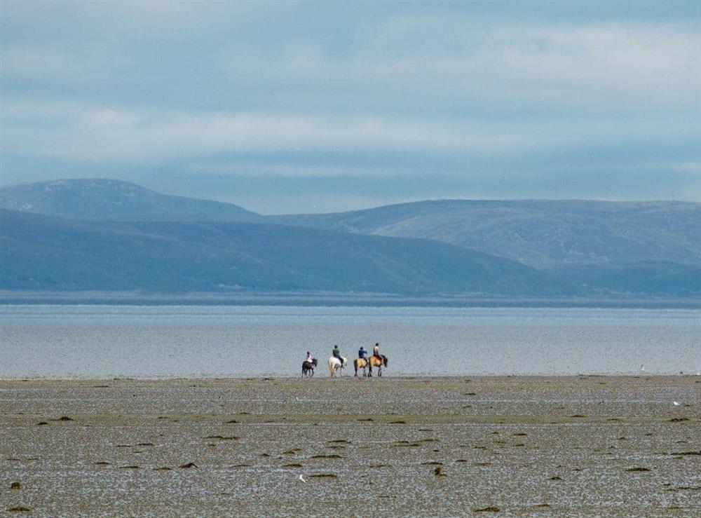 Dog and horse friendly beach at Garden Cottage in Tain, Highlands, Ross-Shire