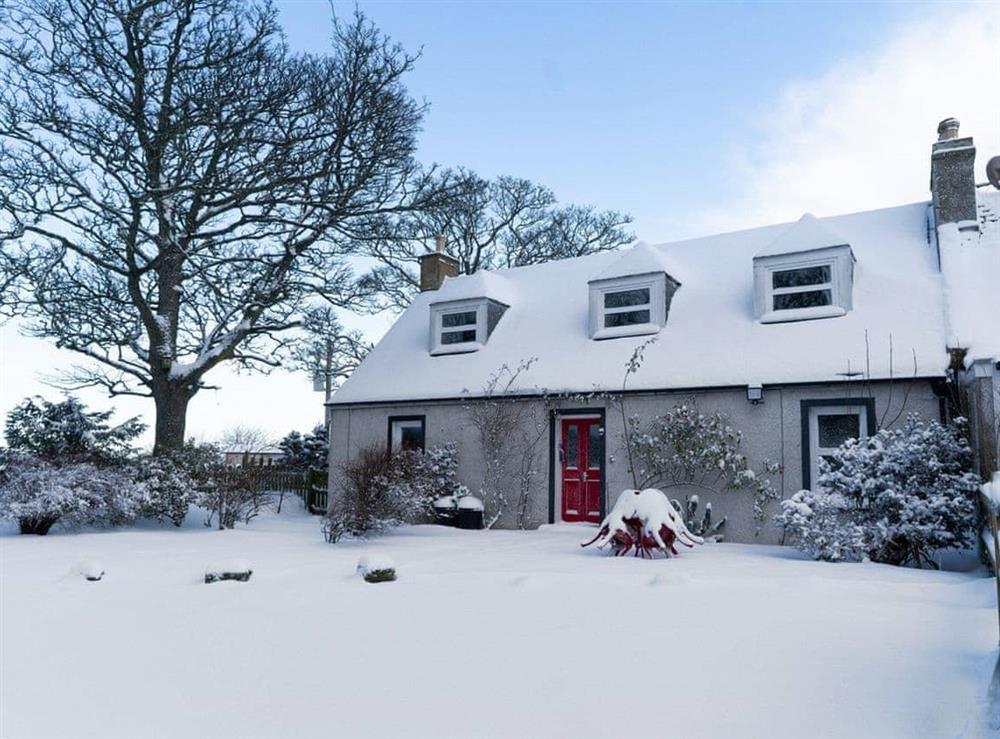 Exterior in Winter at Garden Cottage in Tain, Highlands, Ross-Shire
