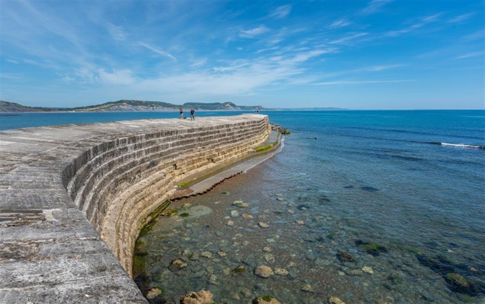 Enjoy a stroll on the harbour wall at Garden Flat in Lyme Regis