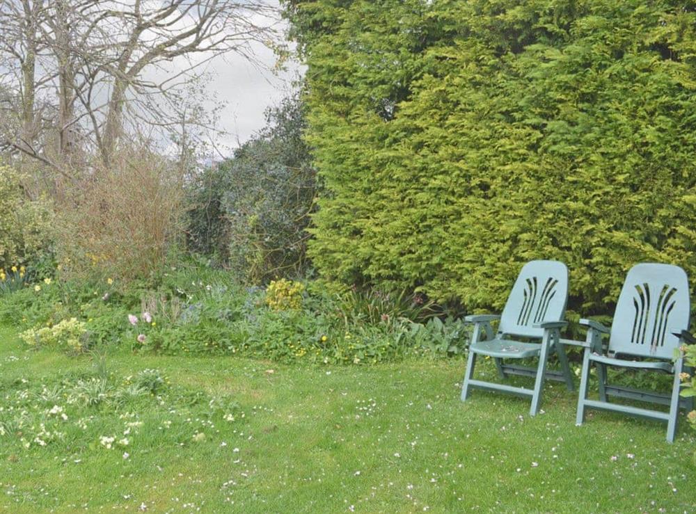 Garden and grounds (photo 2) at Garden Flat in Pilton, near Glastonbury, Somerset