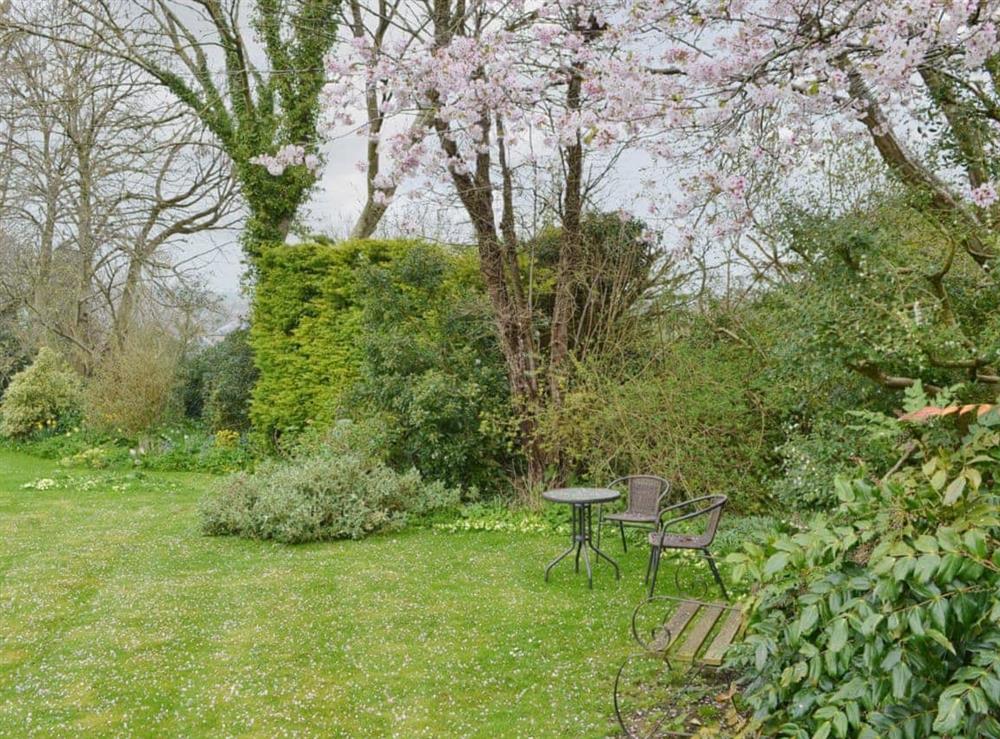 Garden and grounds at Garden Flat in Pilton, near Glastonbury, Somerset