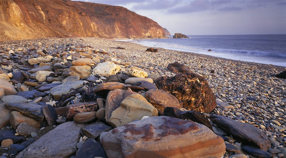 A stony beach; low morning sunlight casts an orange glow onto the face of cliffs to the left and larger rocks in the foreground. The sea to the right is dark blue-grey and thin clouds above have a purple tinge. at Garden Gate Apartment in Durham, County D