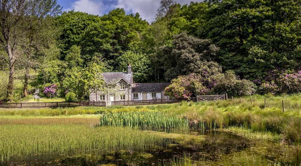 Looking across the old duck pond to Hawthorn Cottage, Ceredigion at Garden Gate Apartment in Durham, County Durham