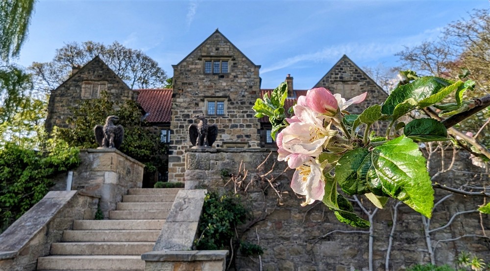 The exterior of Washington Old Hall against clear blue sky. Carved stone eagles top the walls either side of a set of stone steps. Trees in leaf are visible and a pink dog rose is close up in the foreground. at Garden Gate Apartment in Durham, County Durh
