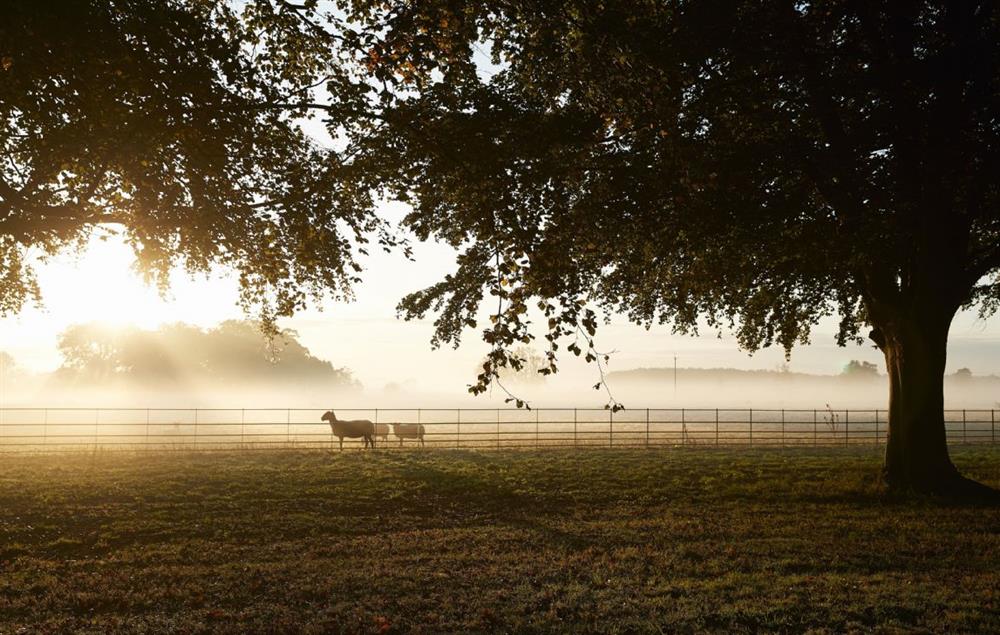 Early morning on the grounds of the estate at Garden House, Wolterton