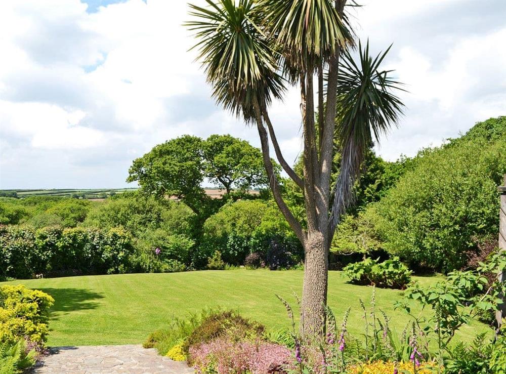 Impressive shared garden and grounds at Garden View in St Austell, Cornwall