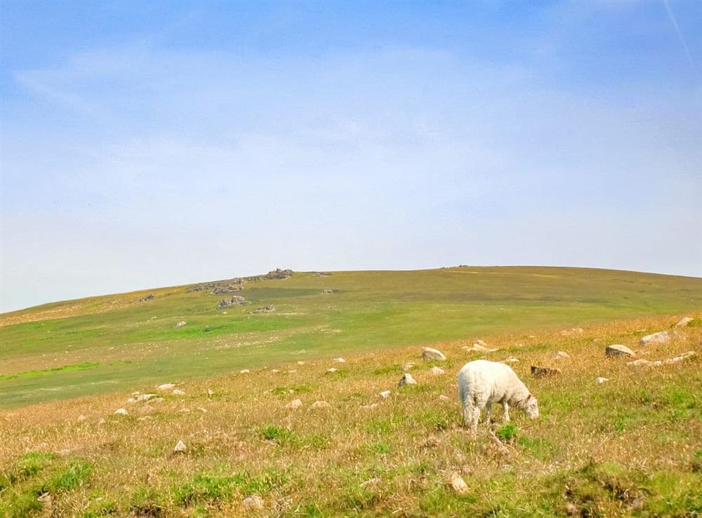 Rural landscape (photo 3) at Garn Isaf in Newport, Pembrokeshire, Dyfed