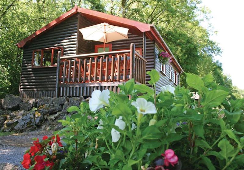 Ash Lodge (photo number 6) at Garnffrwd Park in Carmarthenshire, Wales