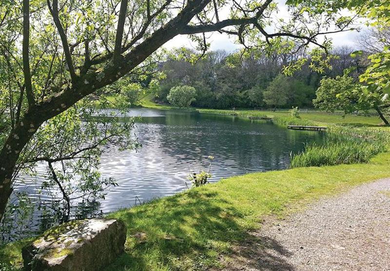 Fishing lake at Garnffrwd Park in Carmarthenshire, Wales