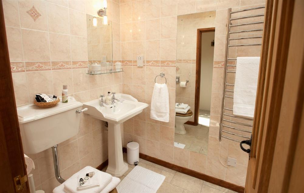 Shower room and wc at Garreg Wen, Eglwys Bach