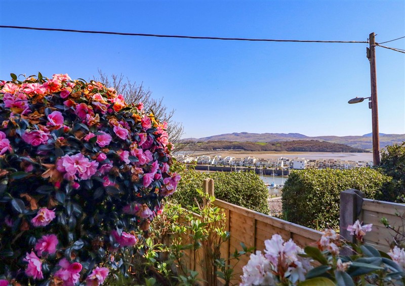 This is the garden at Garth Celyn, Porthmadog