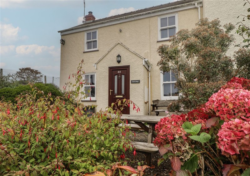 The garden in Garth Cottage at Garth Cottage, St Davids