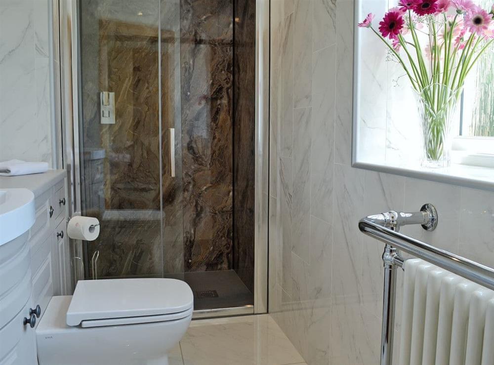 Useful en-suite shower room at Garth Cottage, 