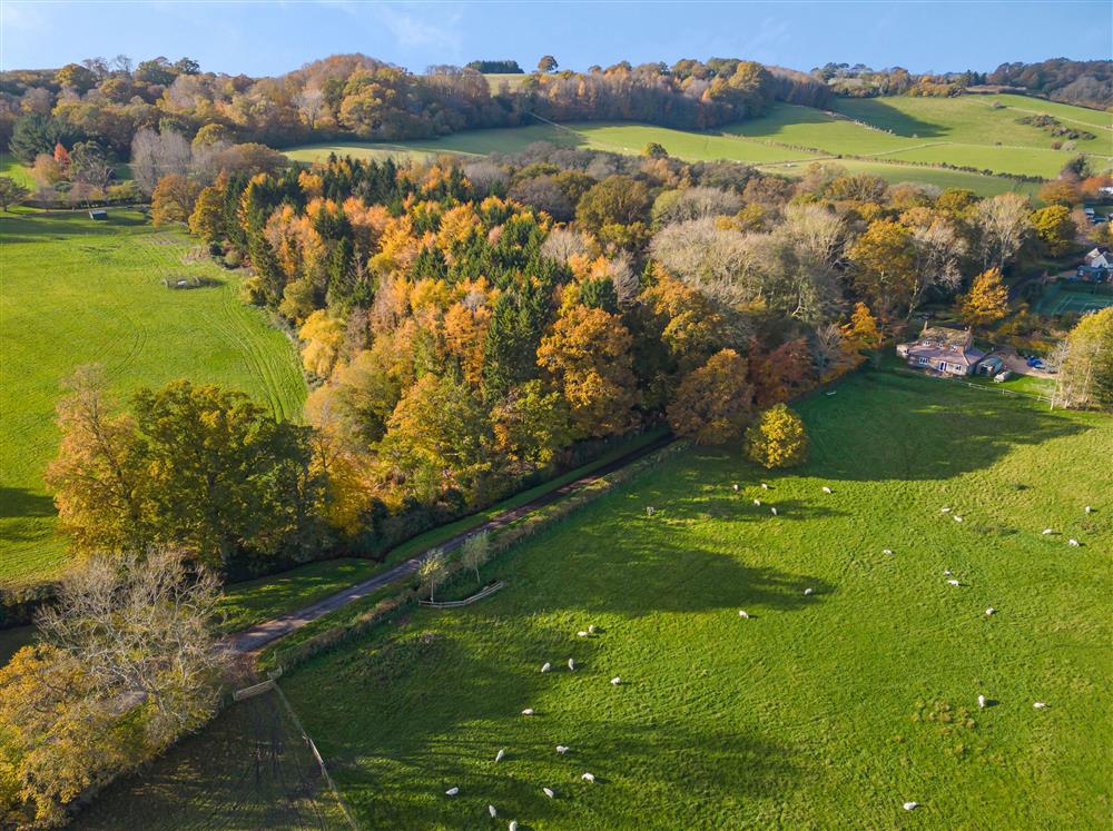 Beautiful woodland and countryside surround Stable Flat