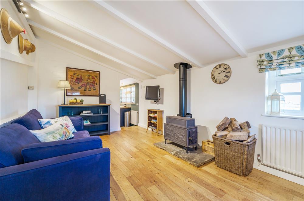 The sitting area with a wood burning stove and sumptuous seating