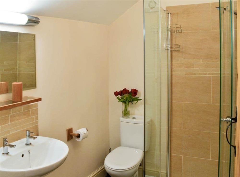 Shower room at Gates Bridge Cottage  in Wigton, Cumbria