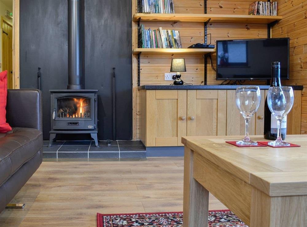 Cosy living area with wood burner at Blake Fell Lodge, 