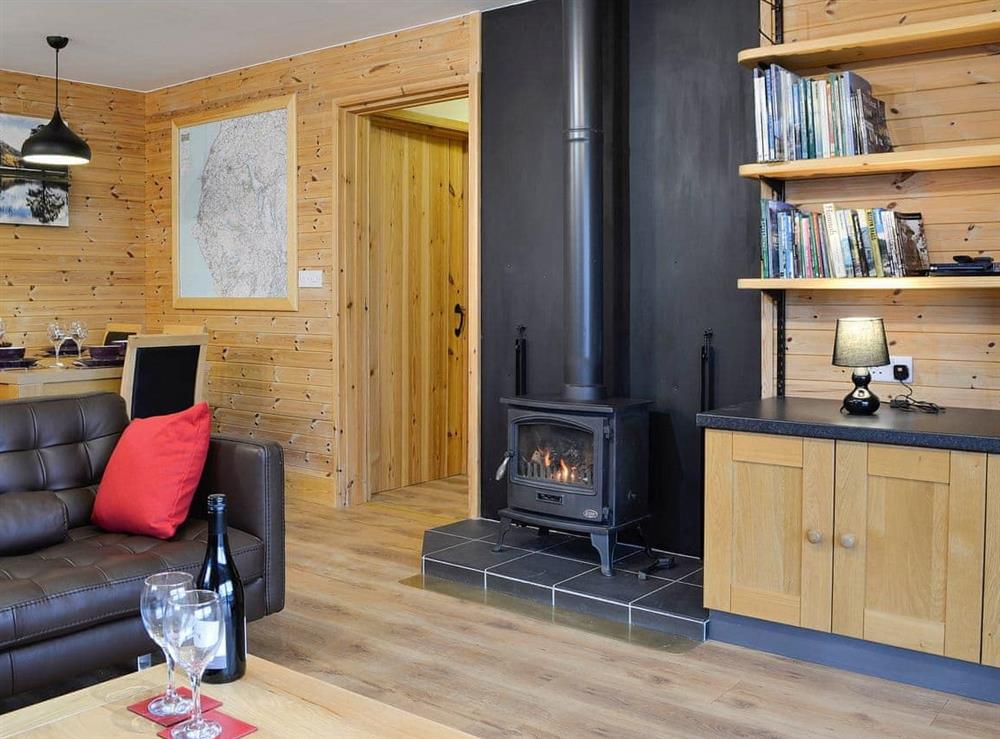 Delightful wood-clad living area at Blake Fell Lodge, 