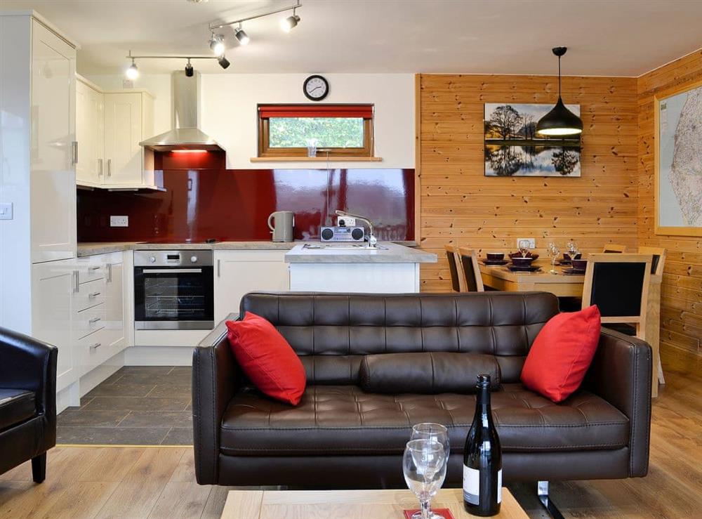 Lovely and welcoming open plan living area at Blake Fell Lodge, 