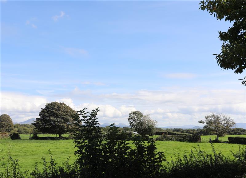 Rural landscape (photo 2) at Gelli Gron, Llanarmon near Y Ffor