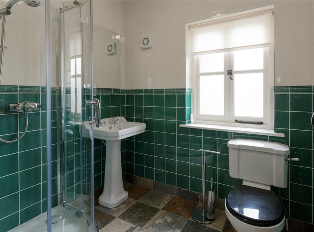 Shower room at Gelli-Hir in Tregaron, Ceredigion, Dyfed
