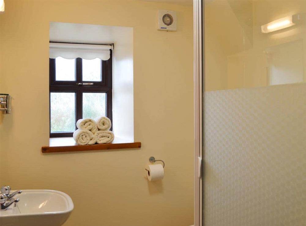 Shower room at Ger-y-Llan in Nebo, Aberaeron, Ceredigion., Dyfed