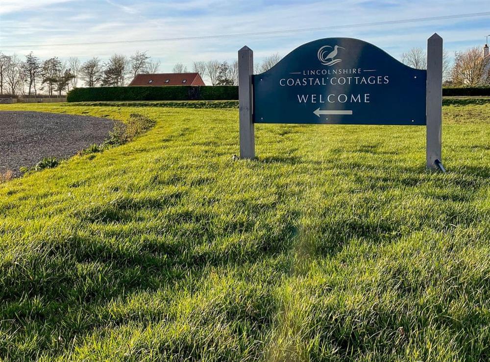 Surrounding area at Gibralter Barns- Curlew in Skegness, Lincolnshire