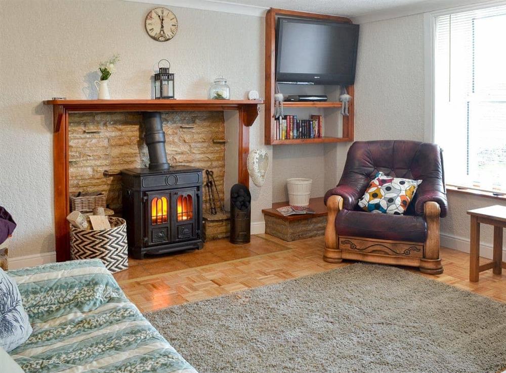 Cosy living room with wood burner at Gill Cottage in Crosby Garrett, near Kirkby Stephen, Cumbria