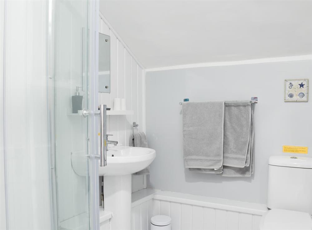 Shower room at Gills Hall Retreat in Welshmoor, West Glamorgan