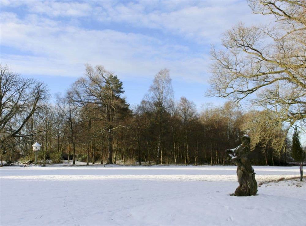 Wonderful 80-acre natural grounds in the winter