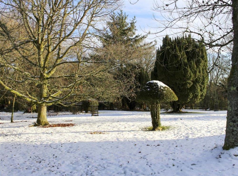 Wonderful 80-acre natural grounds in the winter at Gilminscroft Gatehouse in Sorn, near Ayr, Ayrshire