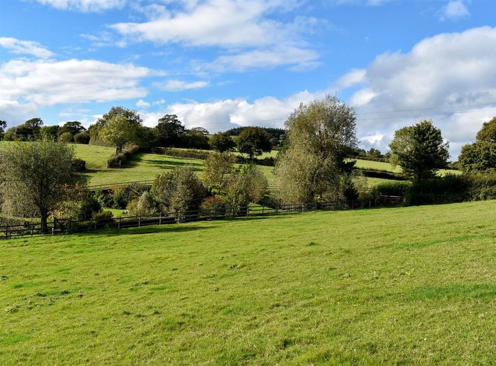 Surrounding area at Gittishayne Farm Barn in Colyton, Devon