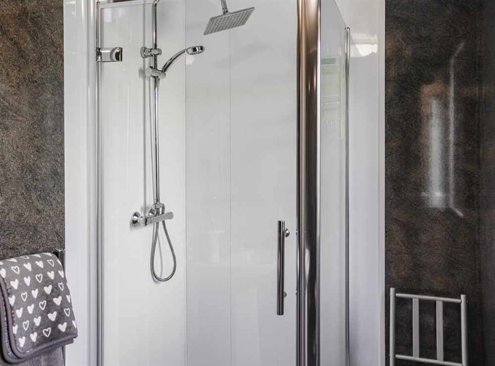 Shower room (photo 2) at Glan Tywyn Shepherds Hut in Bryngwran Nr Rhosneigr, Gwynedd