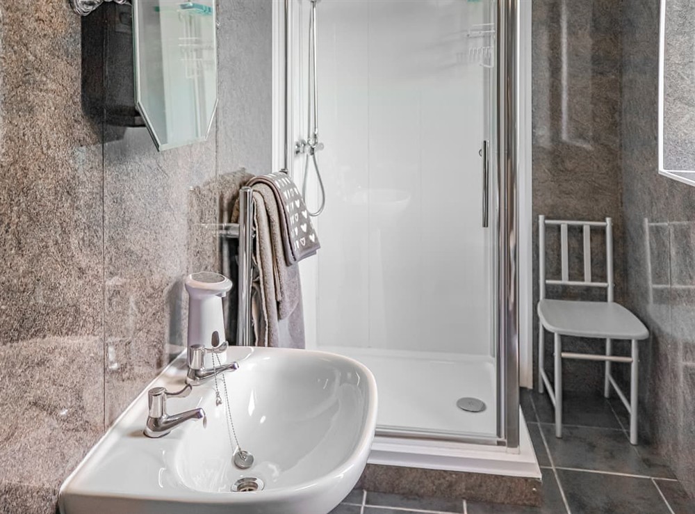 Shower room at Glan Tywyn Shepherds Hut in Bryngwran Nr Rhosneigr, Gwynedd