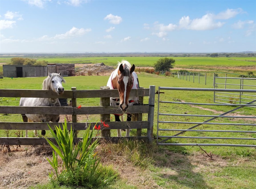 Surrounding area at Glan Tywyn Shepherds Hut in Bryngwran Nr Rhosneigr, Gwynedd