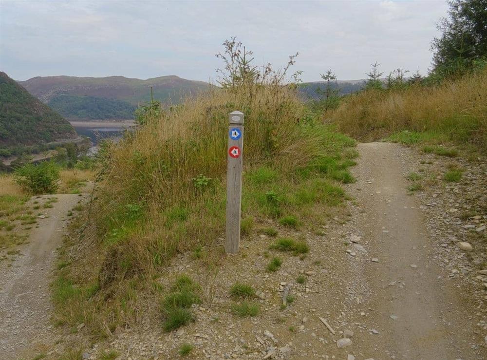 Elan Valley - Nantgwyllt Mountain Bike Trails at Glan Wye in Rhayader, Powys., Great Britain