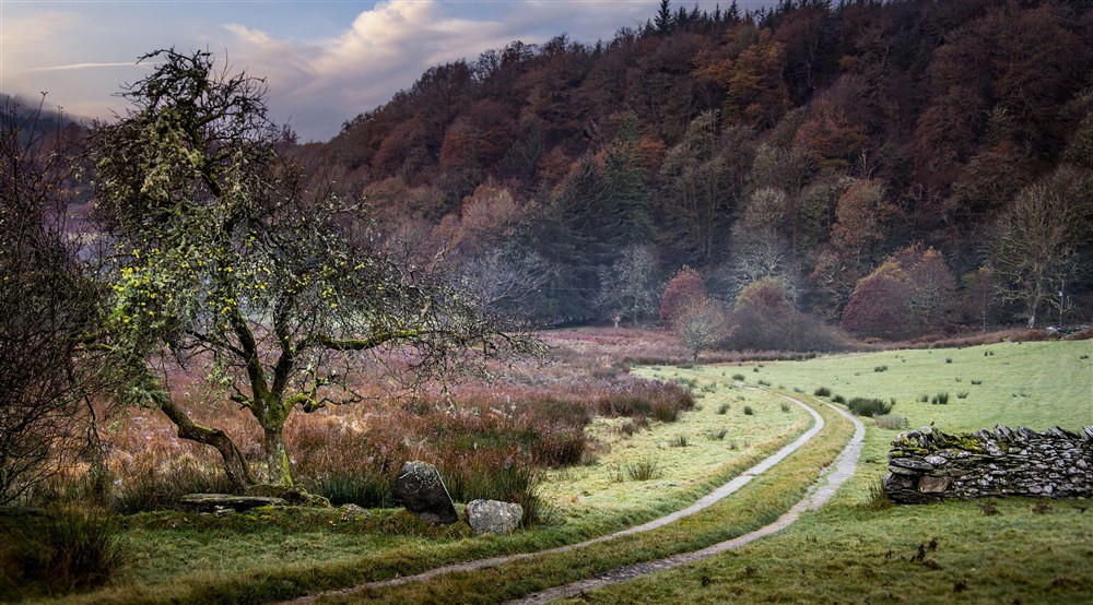 The area surrounding Glan yr Afon, Gwynedd (photo 2) at Glan Yr Afon in Dolwyddelan, Gwynedd